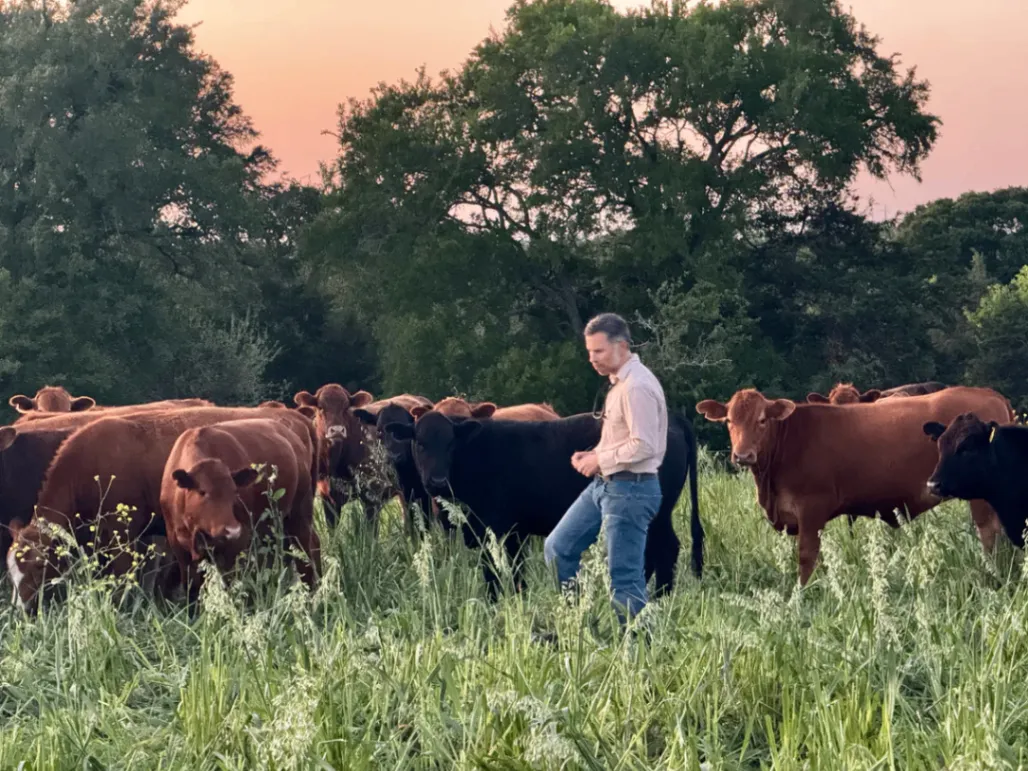 Shirttail Creek Farm 6