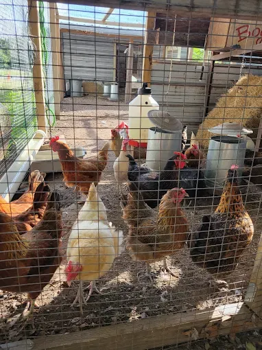 Historic Boggy Creek Farm 6