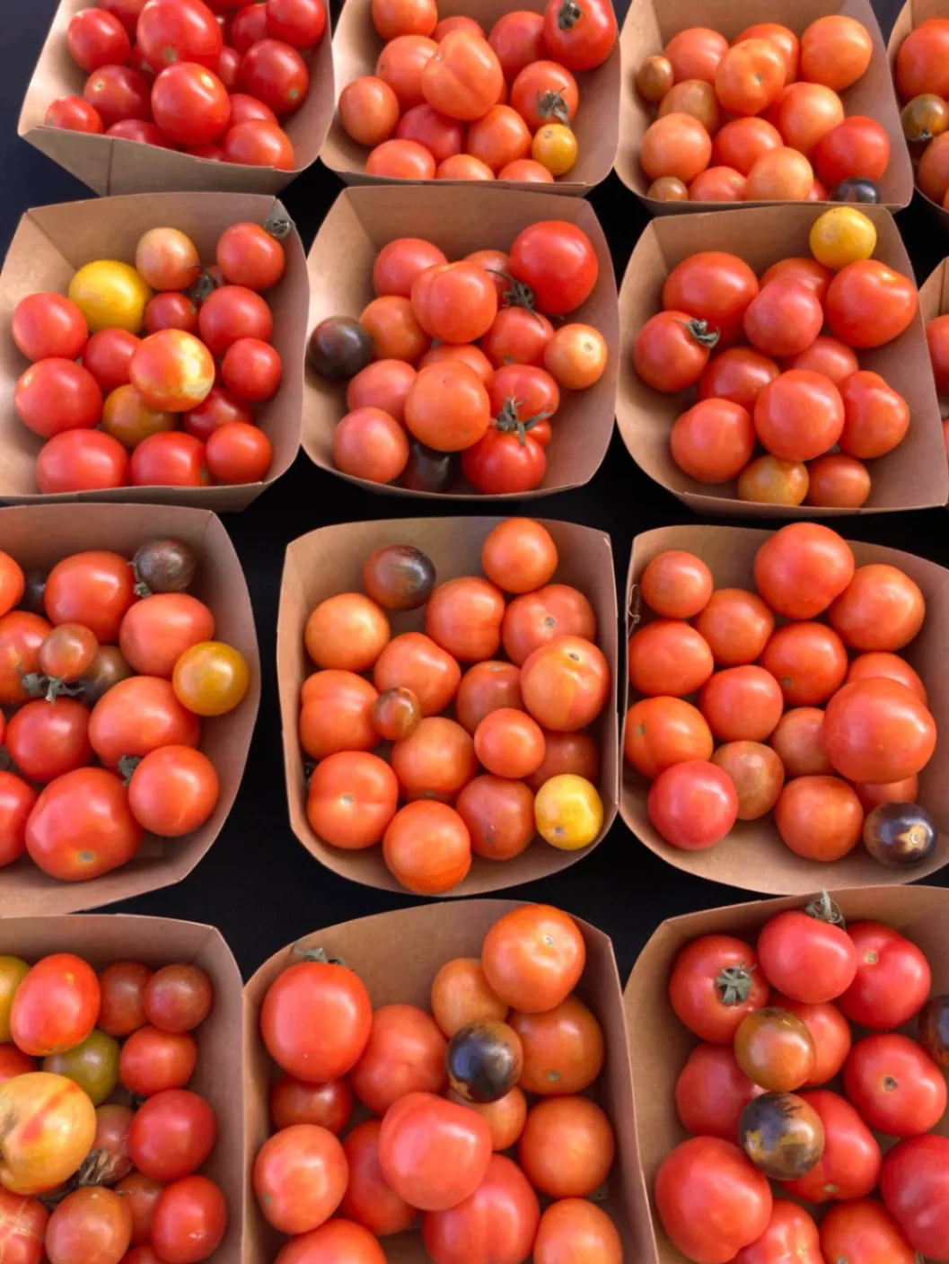 Barton Creek Farmers Market 1