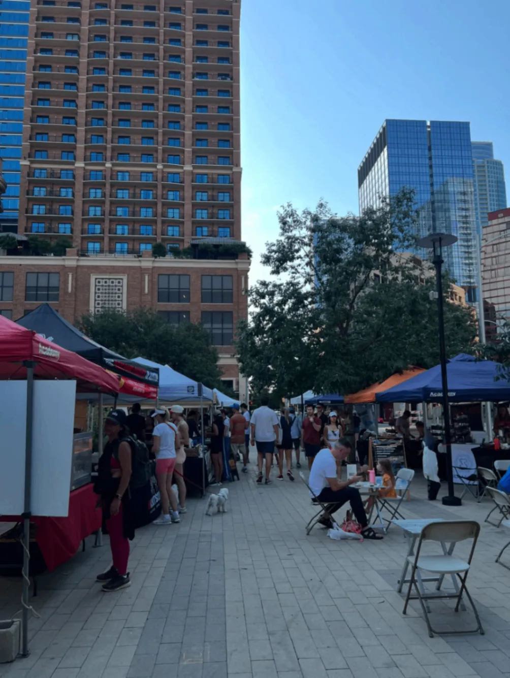 SFC Farmers' Market Downtown 3
